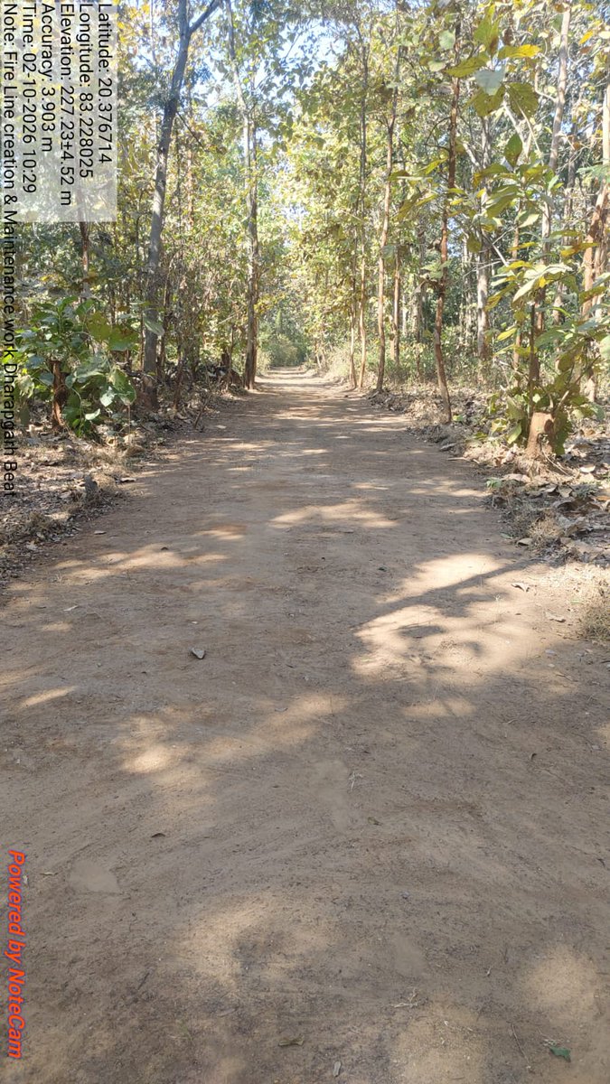 DFO Bolangir tweet media