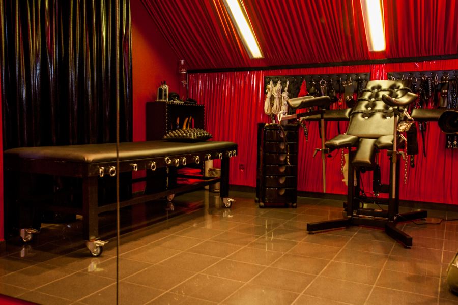 Kinky Revolution tweet media