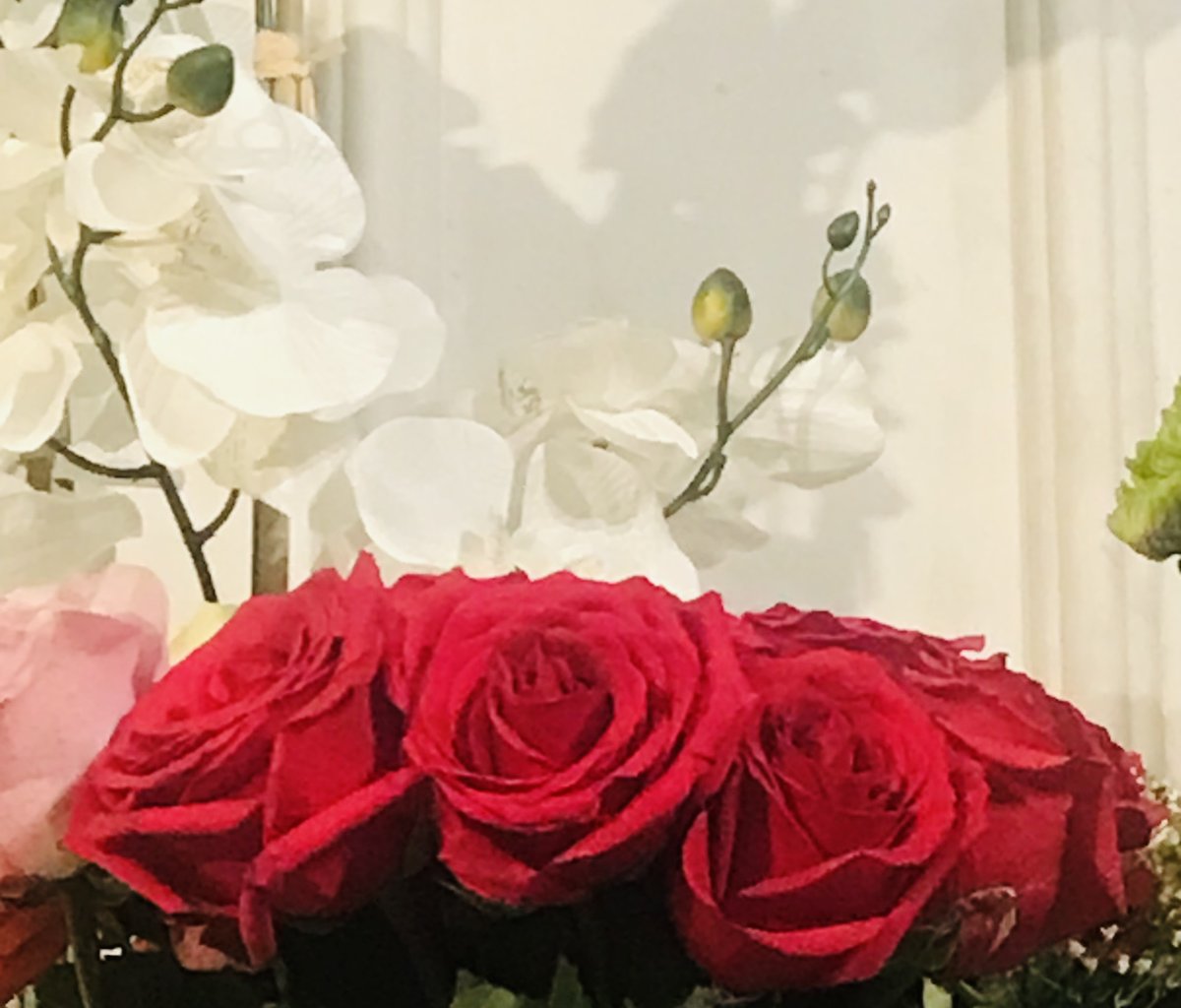mariarosa_456's tweet photo. And everything, even my feelings
The treasure of my life
In all they reflect, shiny and precious
To illuminate those dark moments
When struck by a world of indifference
I struggle to find my home
Drowning with desires I will never know. ©️

my📸 https://t.co/8mEdu0O3Ll