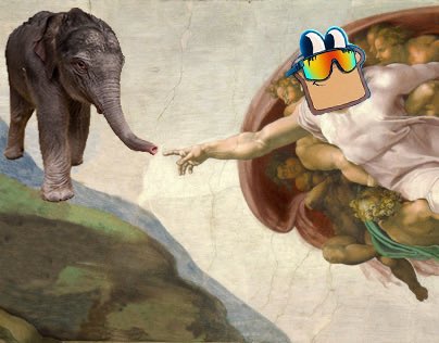 TODAY WE NAME AN ELEPHANT! TODAY WE MAKE HISTORY WITH TÚ ANH