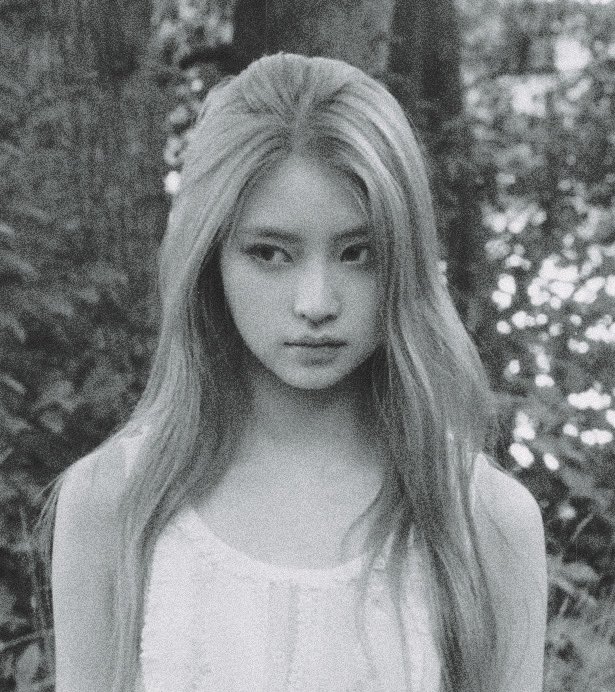 SOC-IE 💛 ˚☽˚.⋆ tweet media