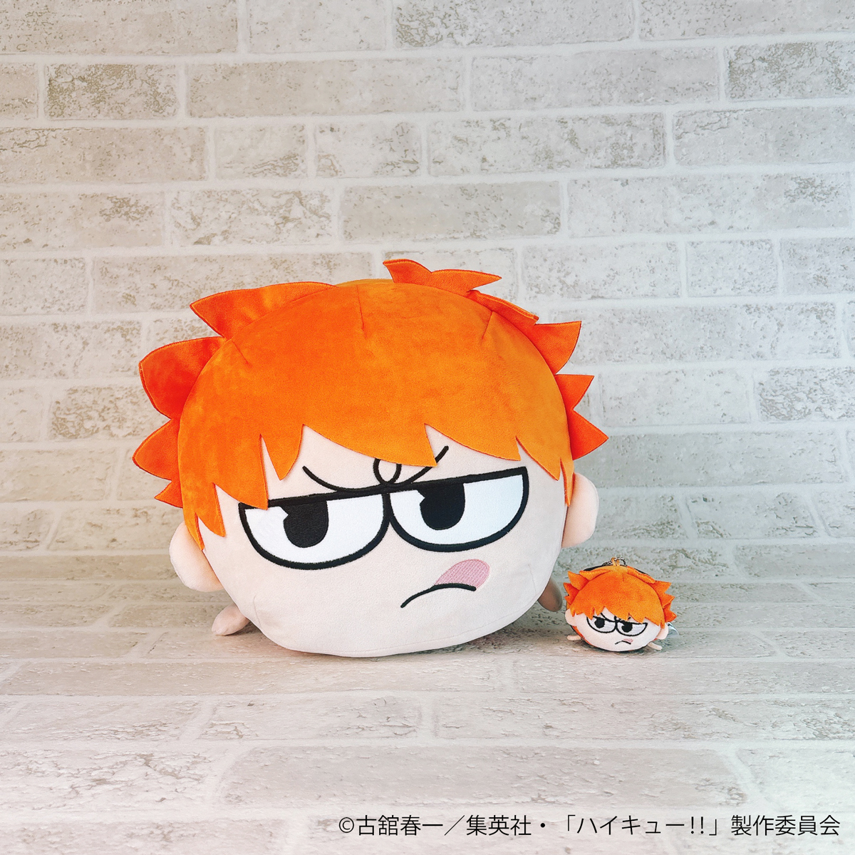 ハイキュープラザ新商品🏐 ＼ たわら型のころっとしたぬいぐるみ