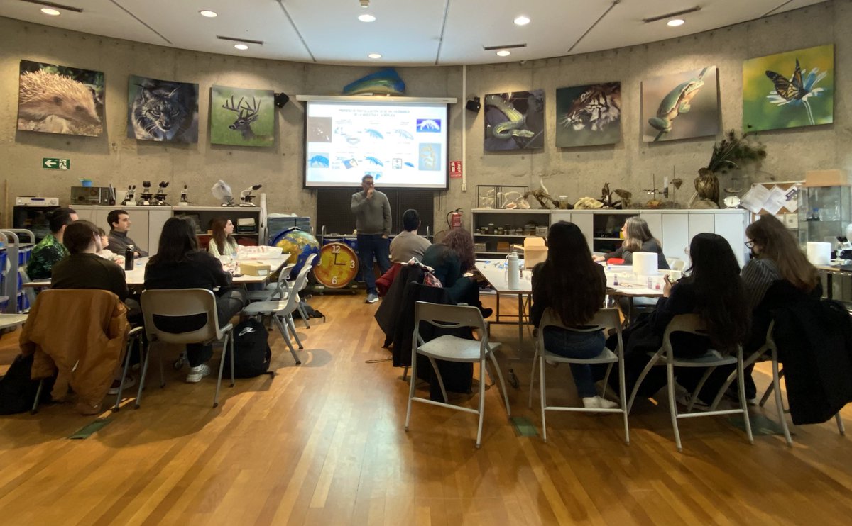pertierralab's tweet photo. 📸 Algunas fotos del Taller de pintura con ejemplares de colémbolos y escorpiones en 3D 🦂

Tras explicar el proceso de digitalización 📲 de especímenes para su impresión 3D pasamos una divertida tarde dándole color 🎨 y aprendiendo sobre estos pequeños amigos!!🔬 @mncn_csic https://t.co/YXIMZgTT89