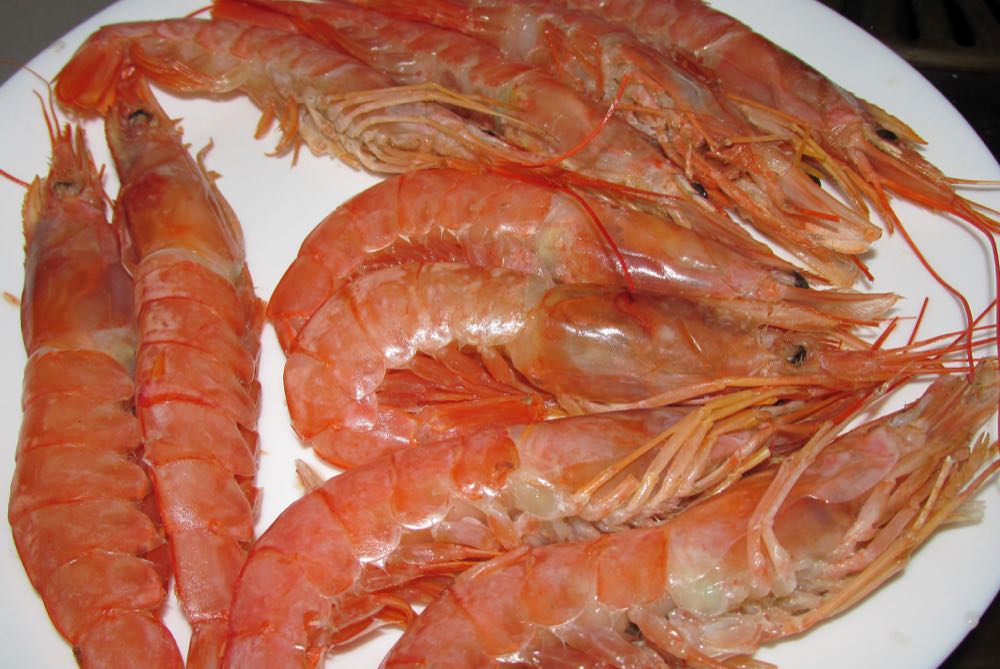 Argentinien: Hochseefischerei auf Rotgarnele erhält MSC-Zertifizierung dlvr.it/TQxCfb