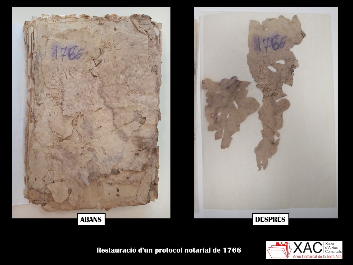 acterraalta tweet media