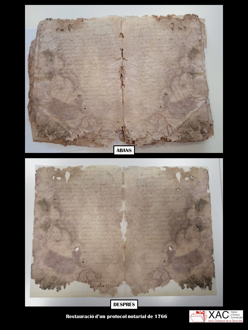 acterraalta tweet media