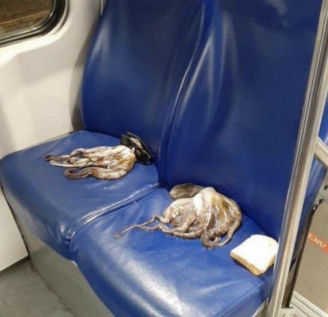 Charly Porro tweet media