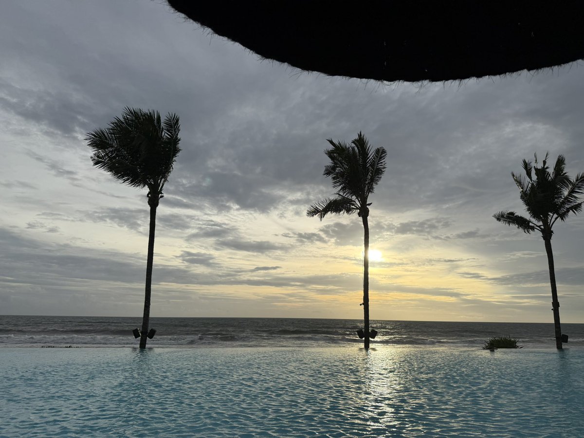 wubai猫卫兵 tweet media