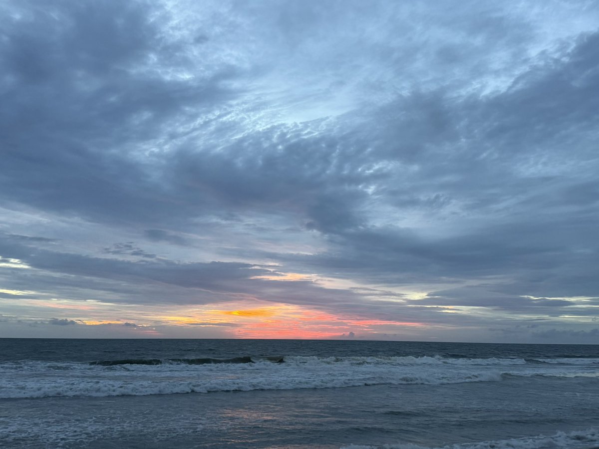 wubai猫卫兵 tweet media