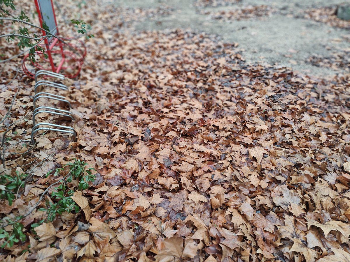 Mark Cousins tweet media