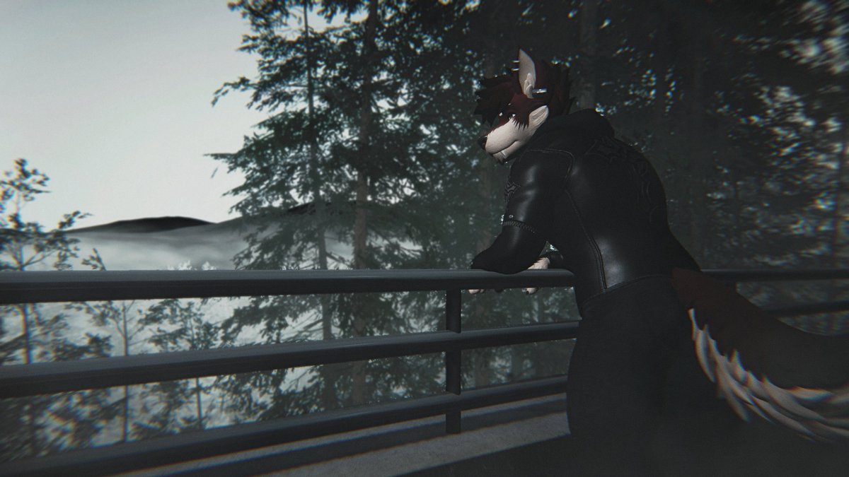 Draven Vel tweet media