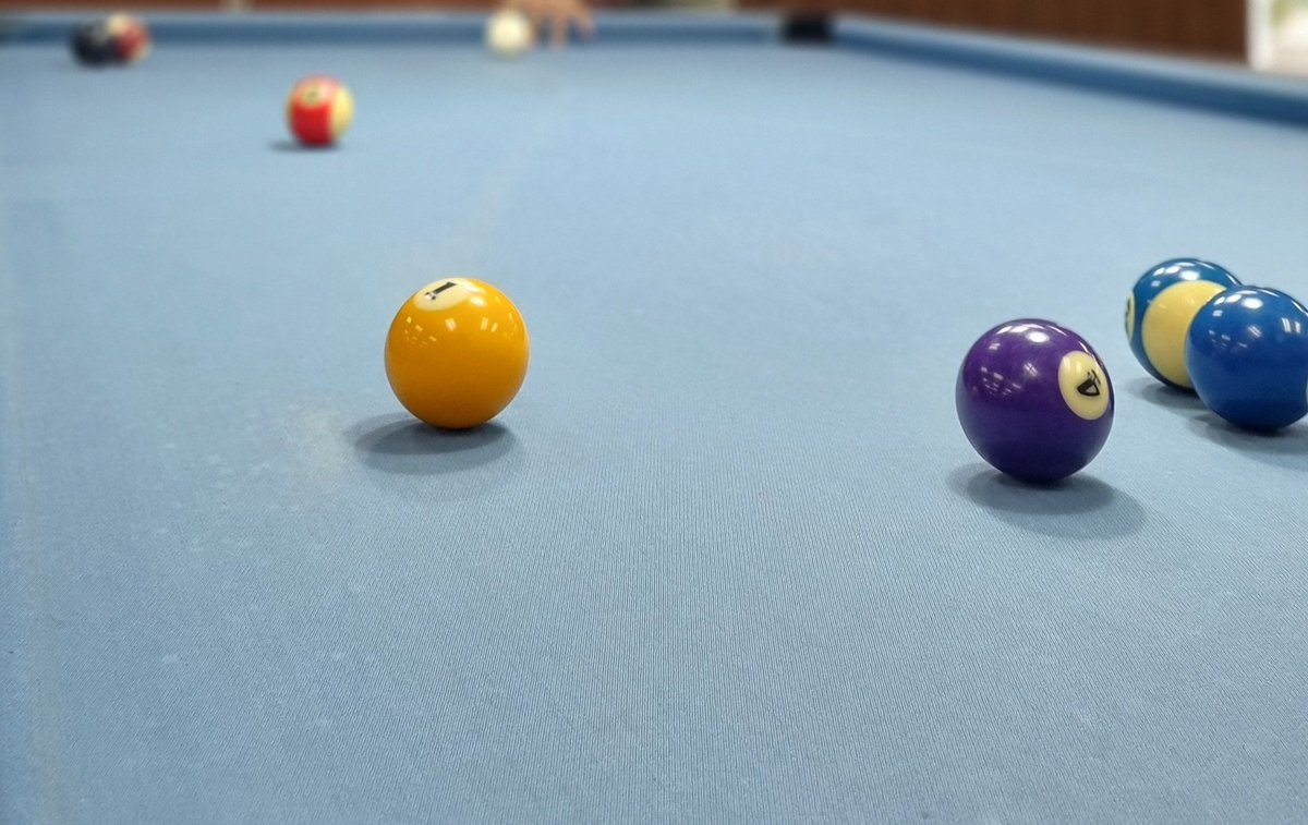 🐇🐇 Mrs.curious-T tweet media