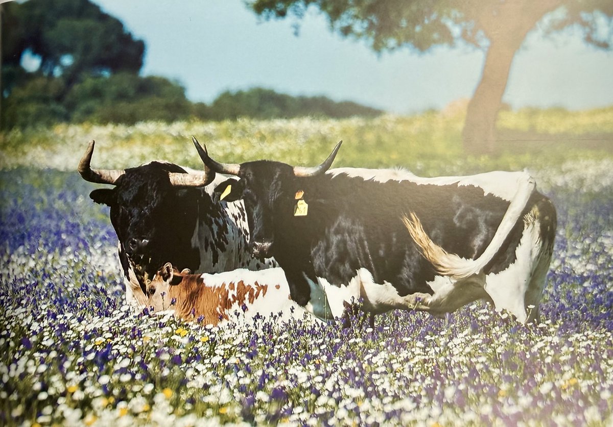 Hoy esta es la foto que pega. Feliz 14 de febrero.