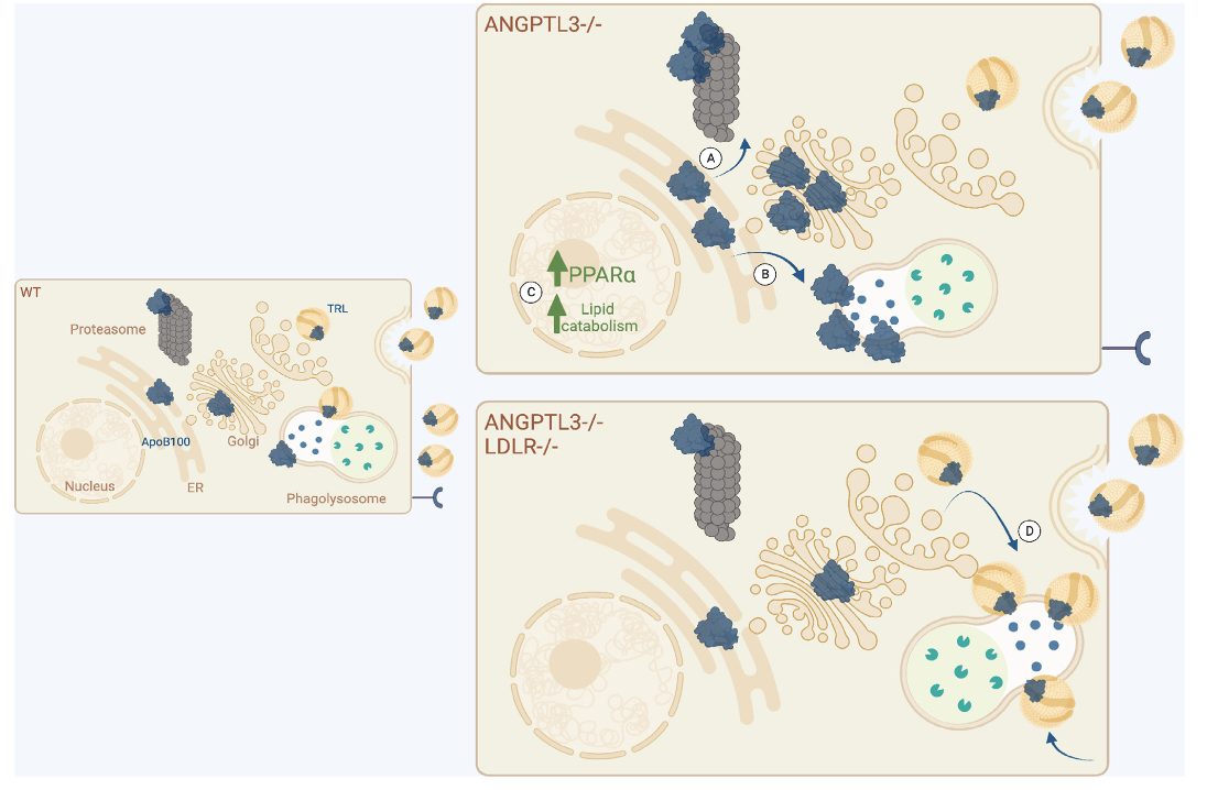 Pablo Corral MD tweet media