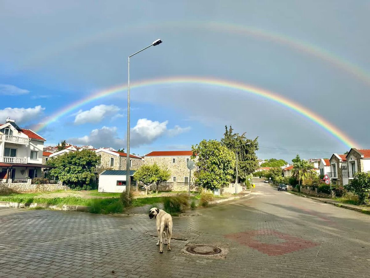 UlviTakn's tweet photo. 🌧️ Yağmur molası…
Güneş yüzünü gösterdi, gökyüzü gökkuşağını serdi 🌈
Belki yoldan geçen biri durur, bir dilek tutar…
Doğa bazen sadece hatırlatır: umut hep var.
#YağmurMolası #Gökkuşağı #DoğadanBizeNot #UmutVar #DilekZamanı #GüneşSonrası #DoğaVeBiz #Çevre #İzmirHavası #AnıYakala
