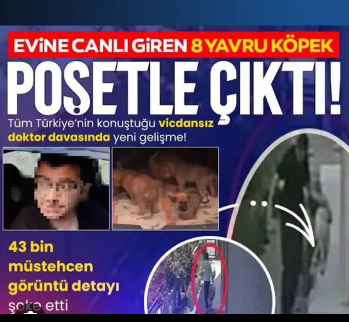 İstinaftan bu ara gerçekten akıllara zarar kararlar çıkıyor!

28 yavru köpeğe işkence eden, cinsel saldırıda bulunan sonra da öldüren bir kişinin cezasının yarı yarıya indirilmesinin gerekçesi ne olabilir?

Hayvanlara bunu yapan biri, cezasızlıktan güç alır. Bugün savunmasız bir