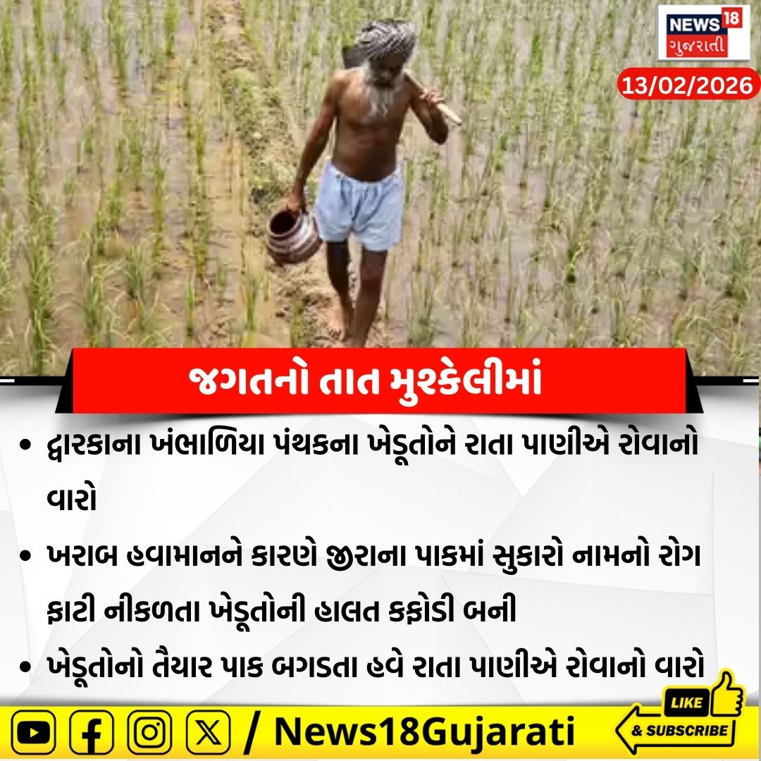 News18Guj's tweet image. દ્વારકાના ખંભાળિયા પંથકના ખેડૂતોને રાતા પાણીએ રોવાનો વારો આવ્યો

#dwarka #cuminseeds #News18Gujarati