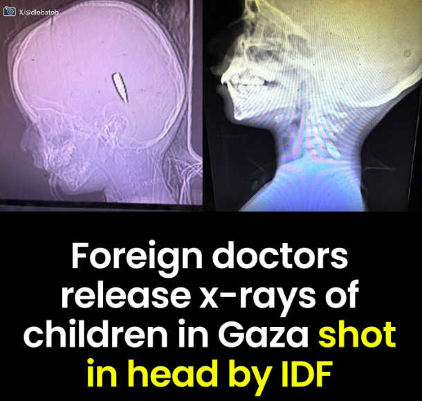 Islamic Scientific Heritage tweet media