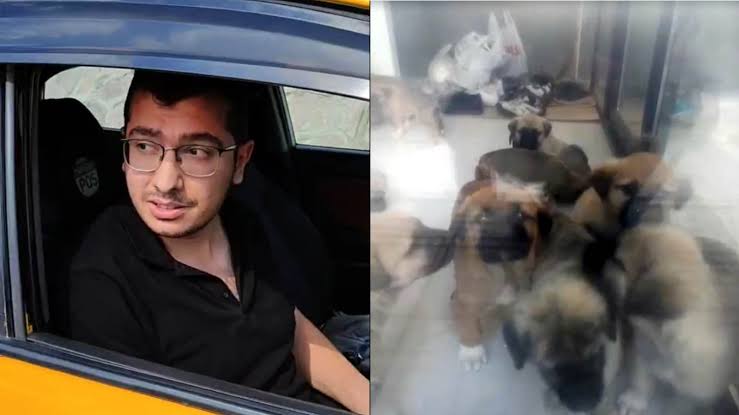 Yavru köpekleri sahiplenme bahanesiyle alıp cinsel saldırıda bulunan, onları katleden Muhammet Mustafa Duman'a bozma kararından sonra 4 yıl 4 ay ceza verildi.

Kısa bir süre sonra bu katil, sokaklarda olacak. Belki de hasta bakacak, memurluktan men edildi ama hâlâ "doktor"