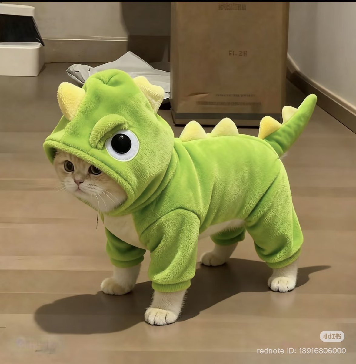 cutest cats tweet media
