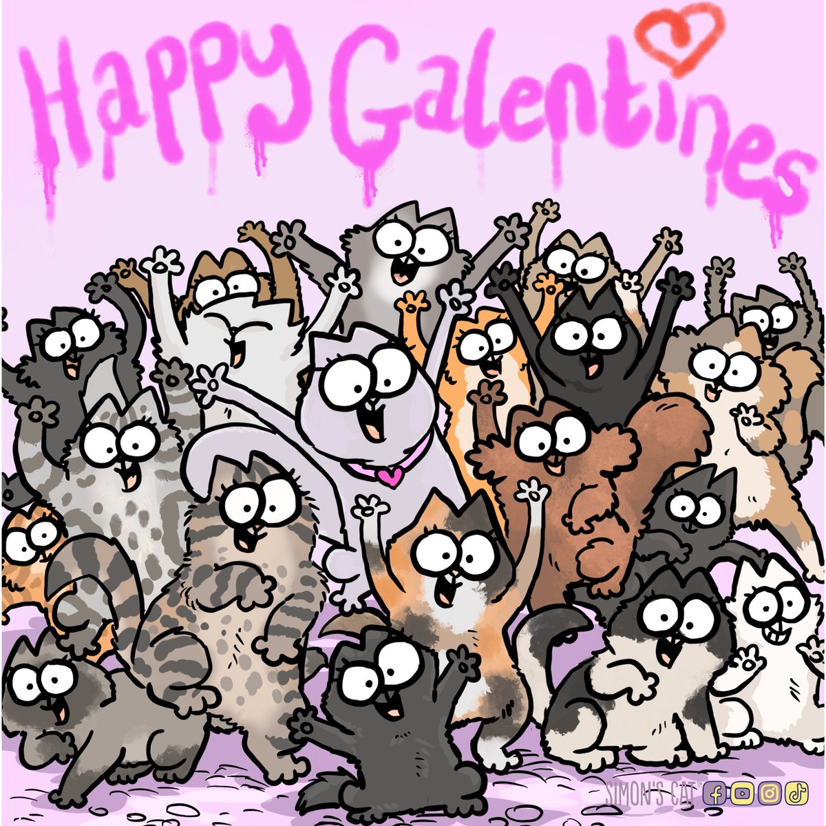 Simon's Cat 🐾 tweet media