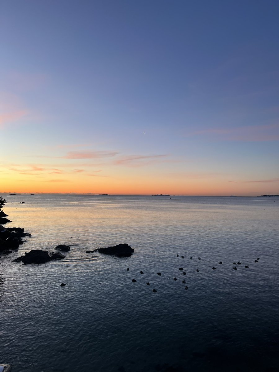 Antonio Rossi tweet media