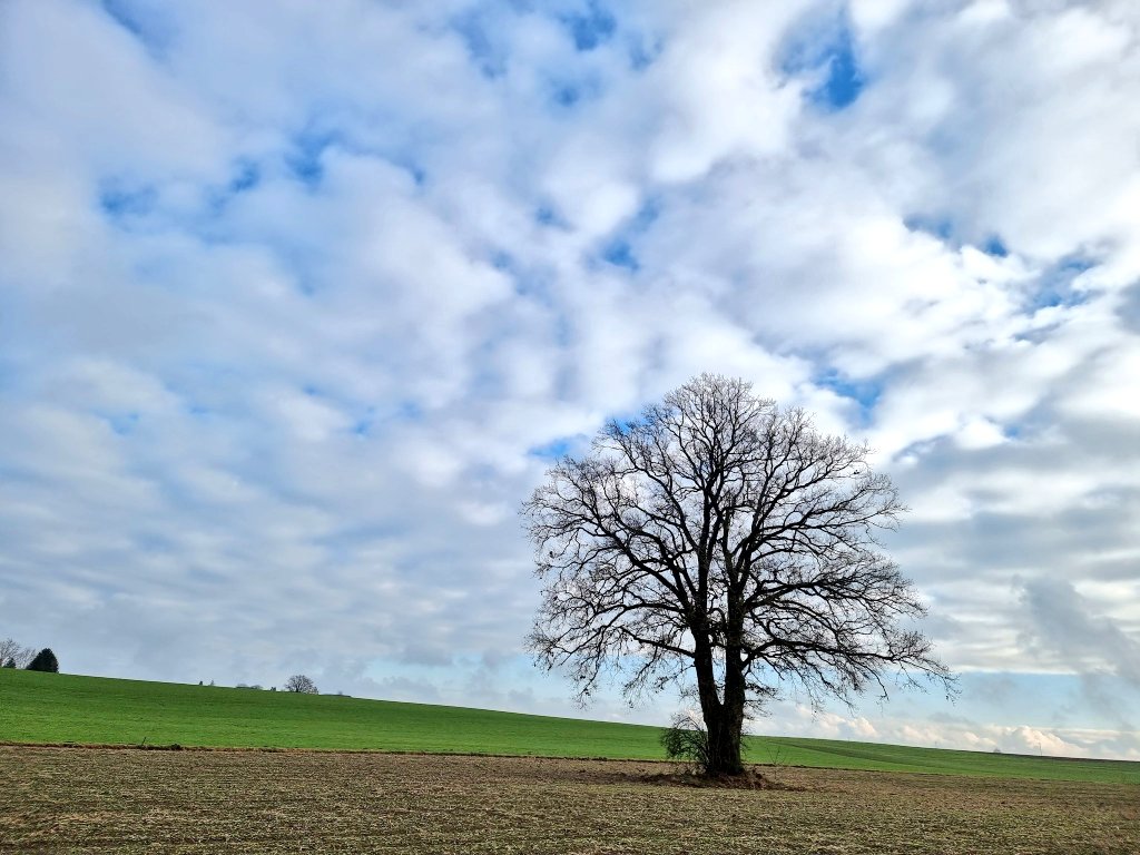 BellaLuna tweet media