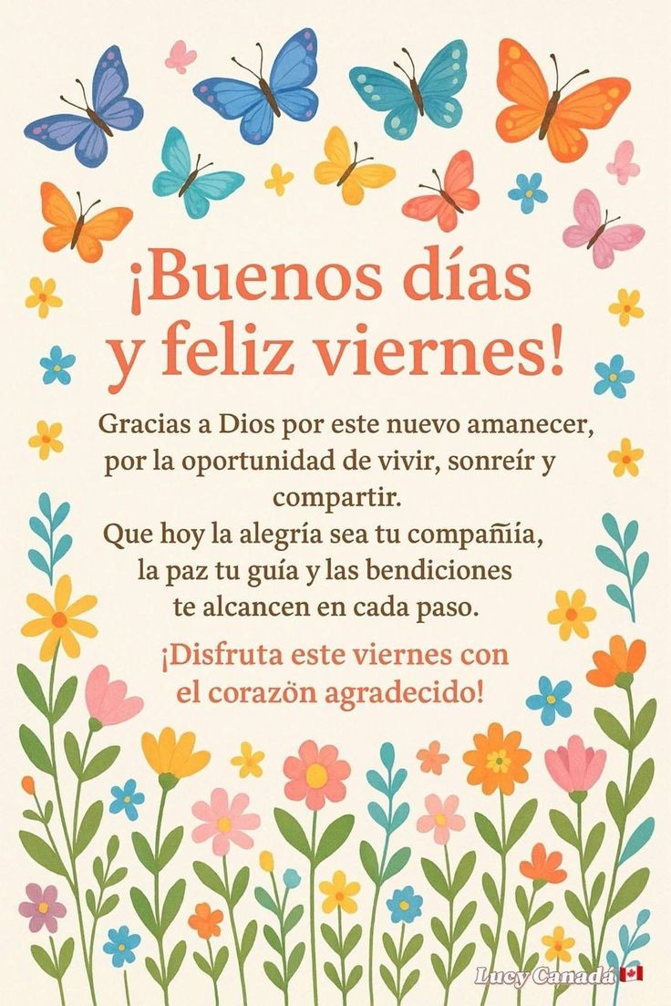 Nilda Petit tweet media