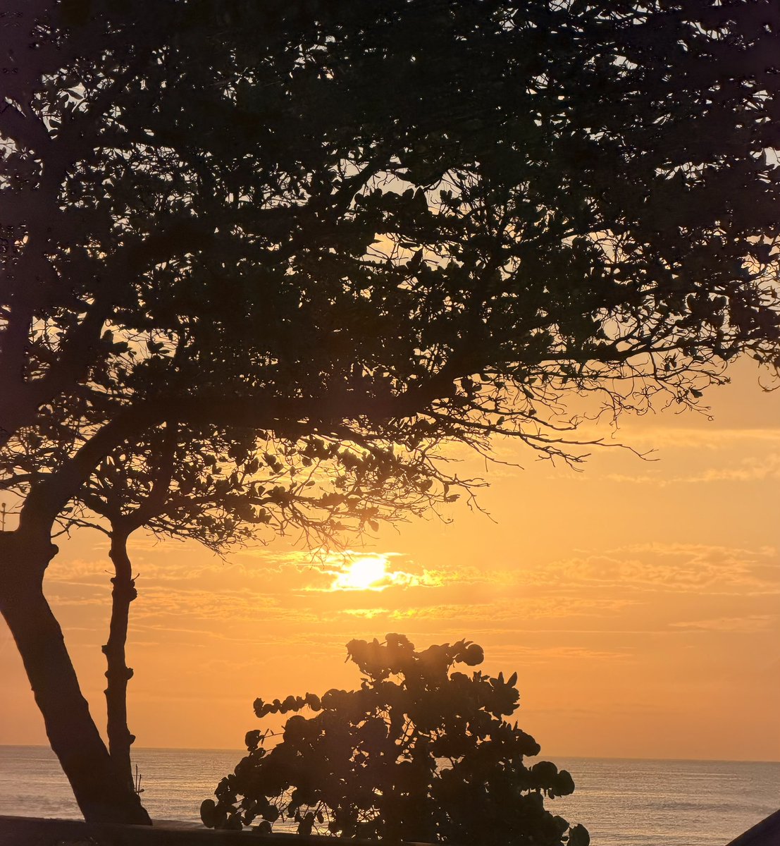 Santo Domingo.💝

“Safe and sound”