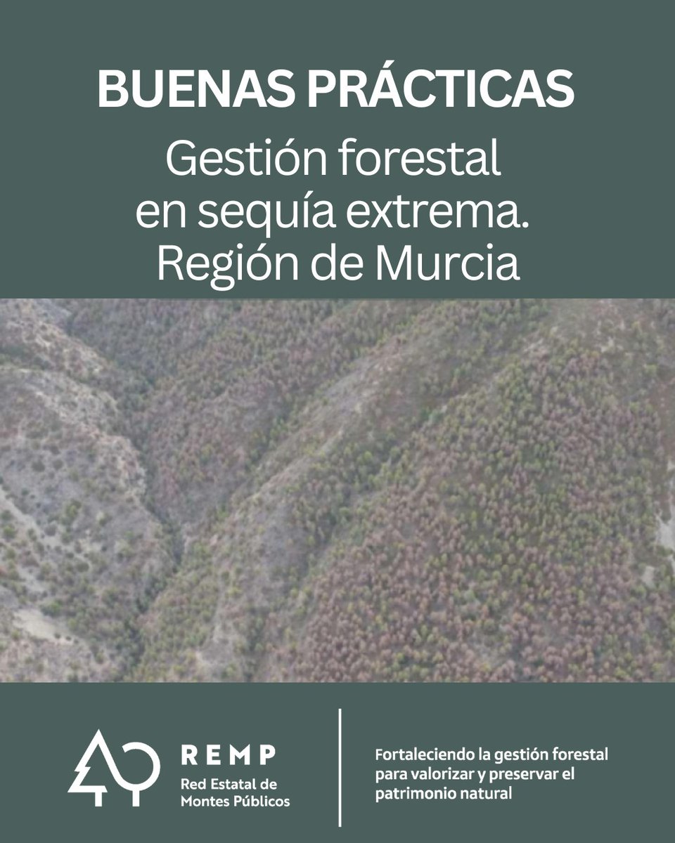 Red Estatal de Montes Públicos (REMP) tweet media