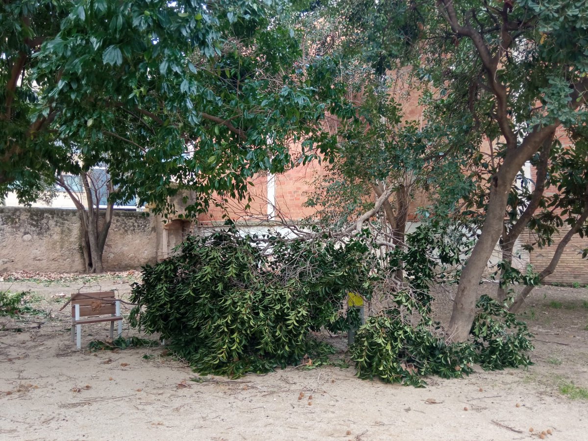 Defensemcalarnus tweet media