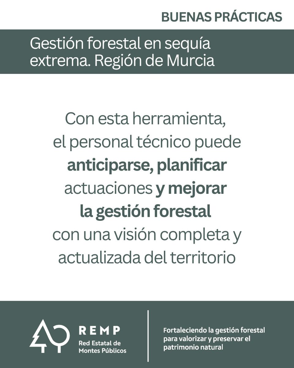 Red Estatal de Montes Públicos (REMP) tweet media