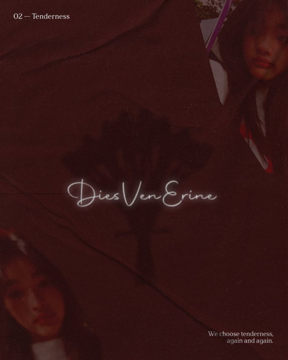 cvframes's tweet photo. Happy Early Valentine! @CErine_JKT48  

02 — #DiesVenErine 🌹 https://t.co/CCOvfWC3oC