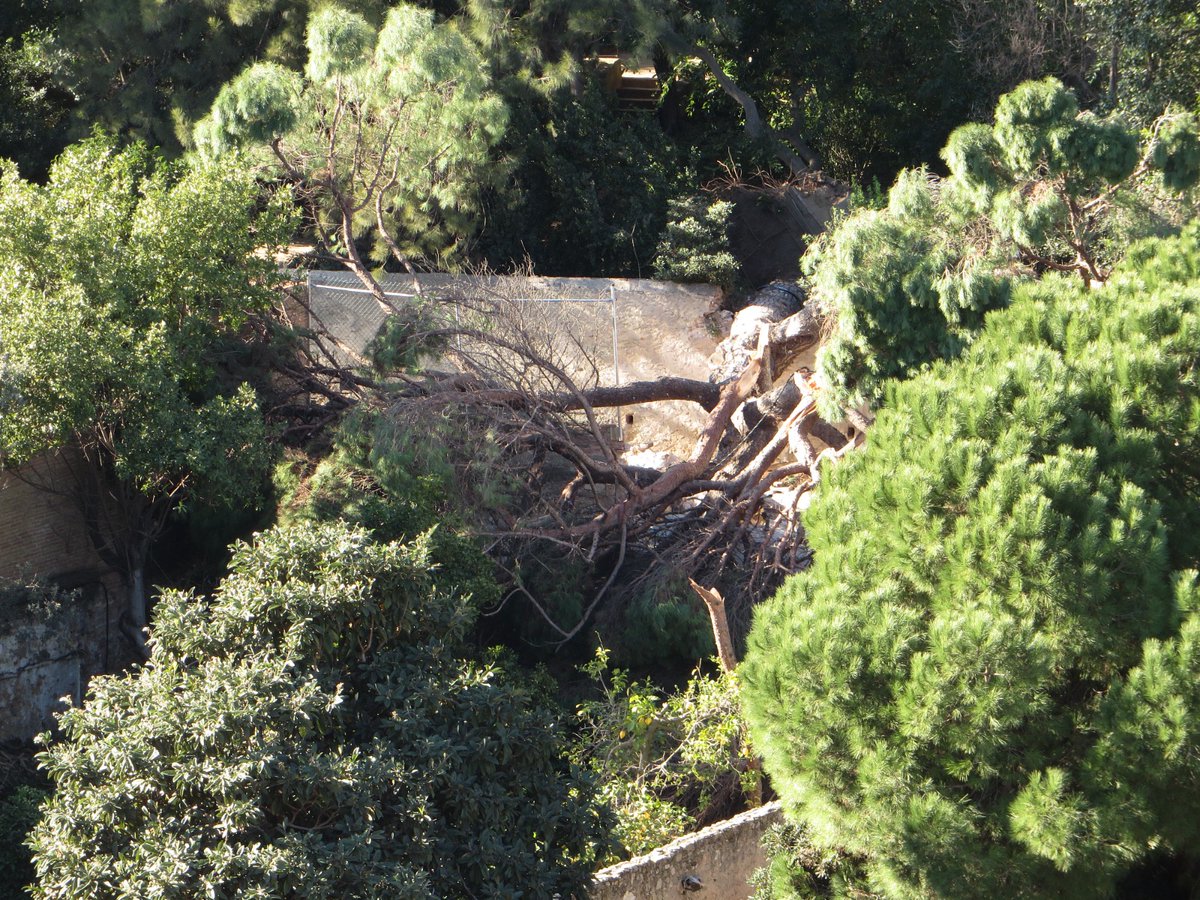 Defensemcalarnus tweet media