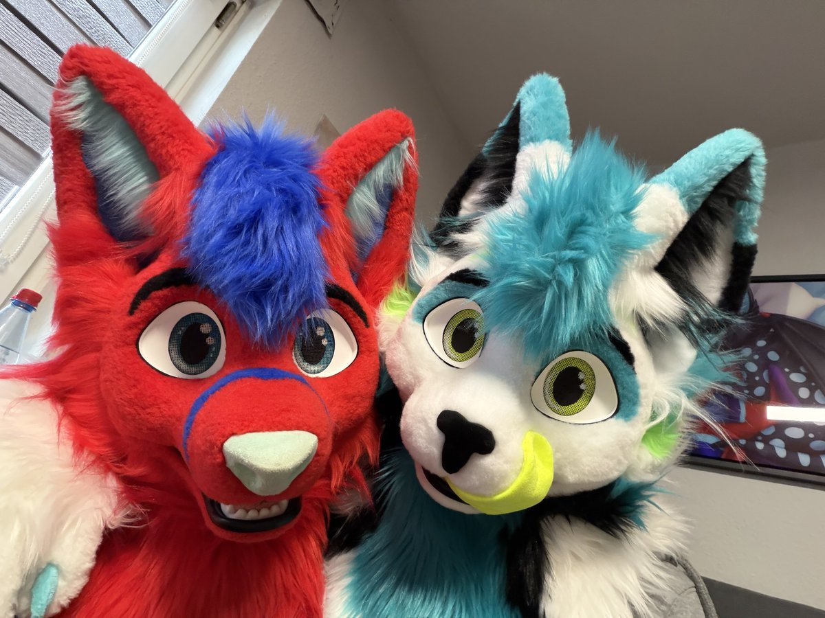 Proli 🦊❤️💙 🛤️🔜EAST, EF, FV tweet media