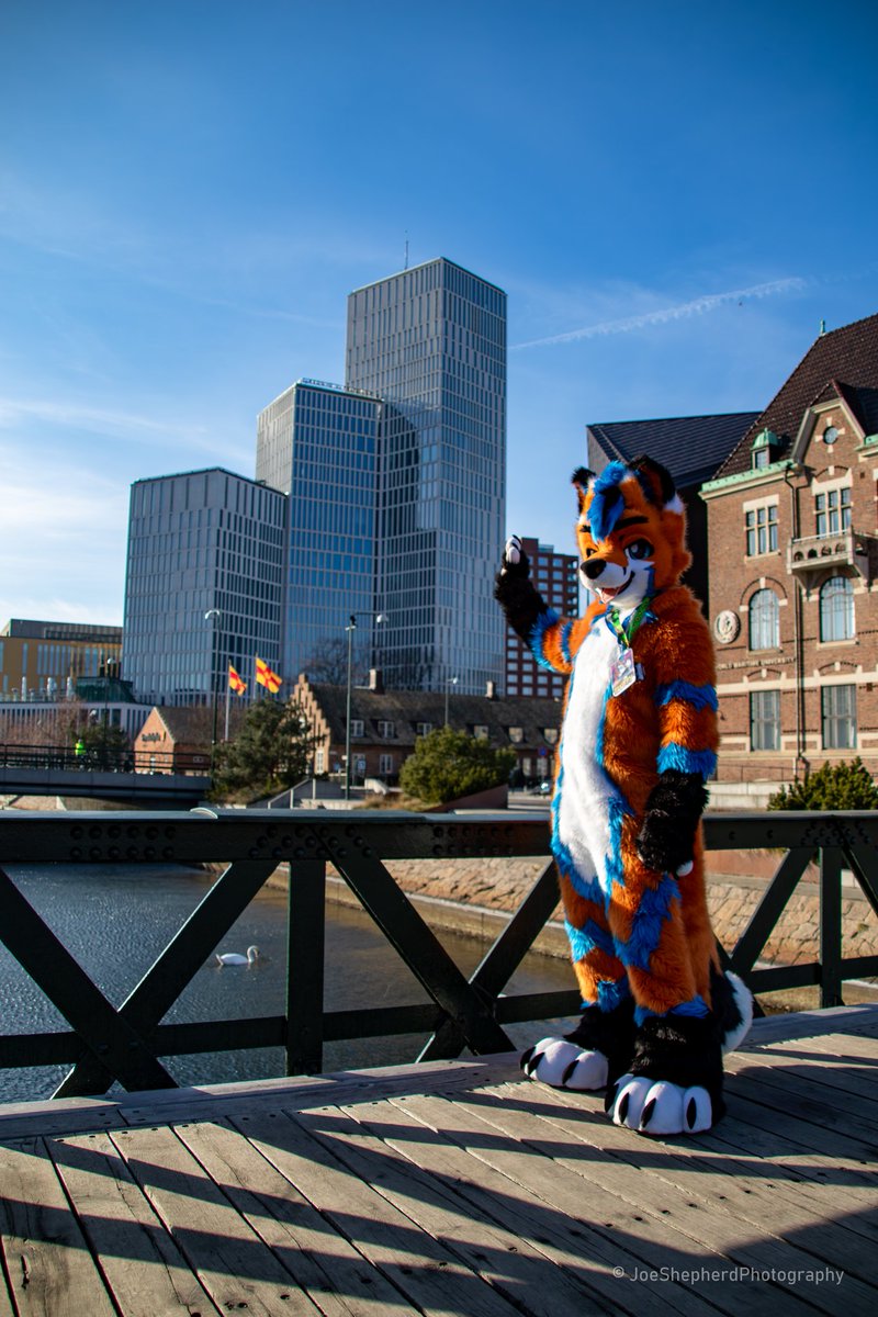 Fluffyfox09 tweet media