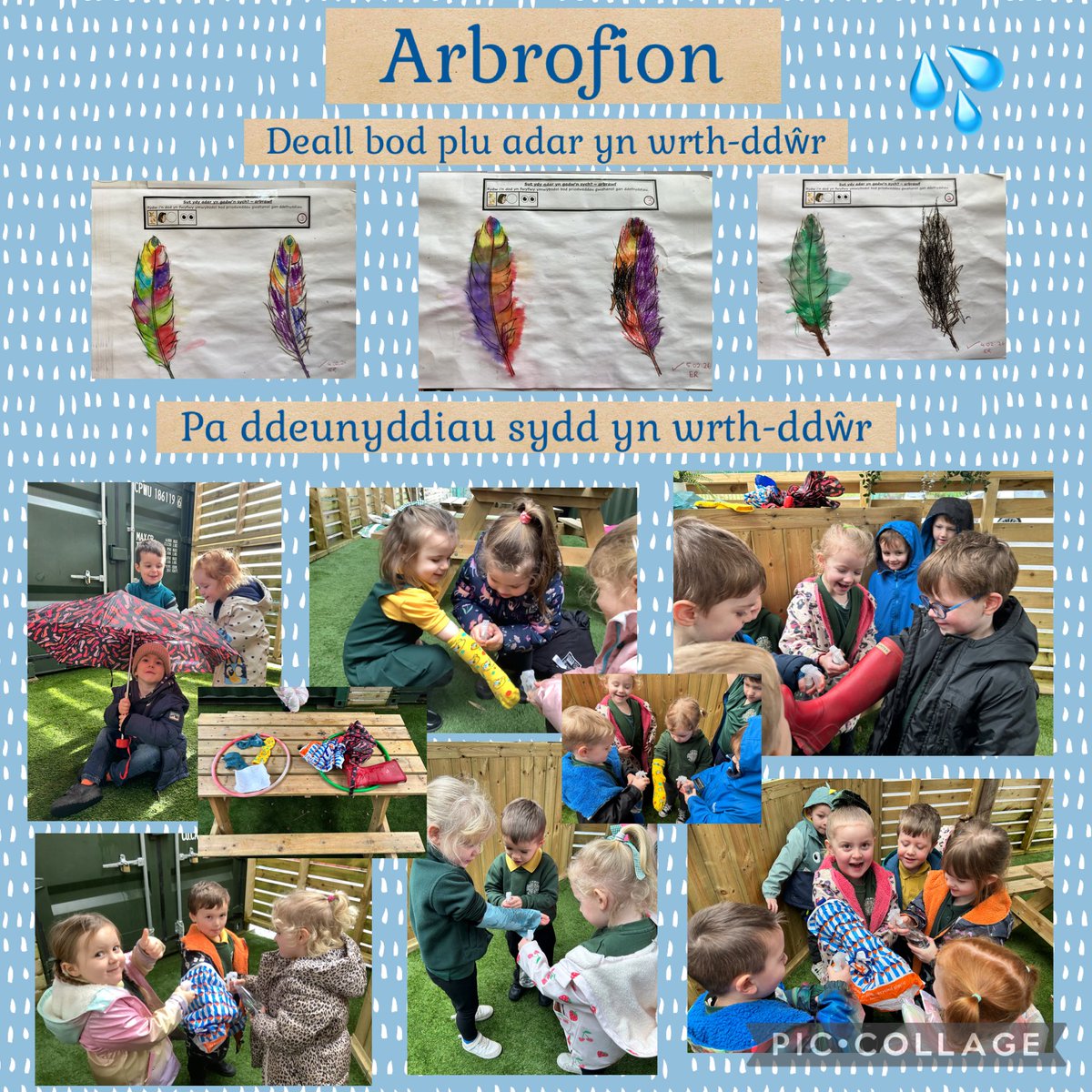 Dosbarth Meithrin/Derbyn tweet media