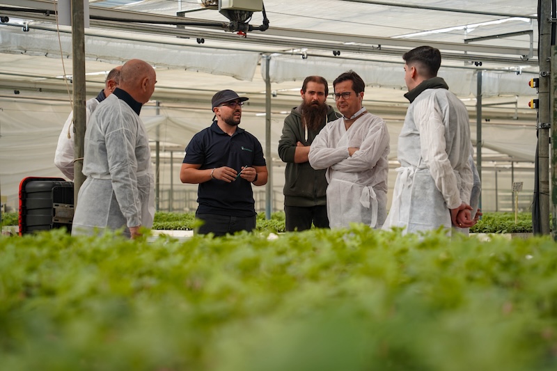 La campaña de primavera arranca en el campo …#ejidense con el trasplante de #sandía

La producción anual de <a href="/CampoejidoSCA/">Campoejido</a>  se sitúa entorno a los 35 millones de plantas.

fyh.es/la-campana-de-… <a href="/AytoElEjido/">Ayto de El Ejido</a> <a href="/CampoejidoSCA/">Campoejido</a> 

🔝🔝🔝🔝🔝🔝🔝🔝🔝🔝🔝🔝🔝🔝🔝🔝🔝🔝