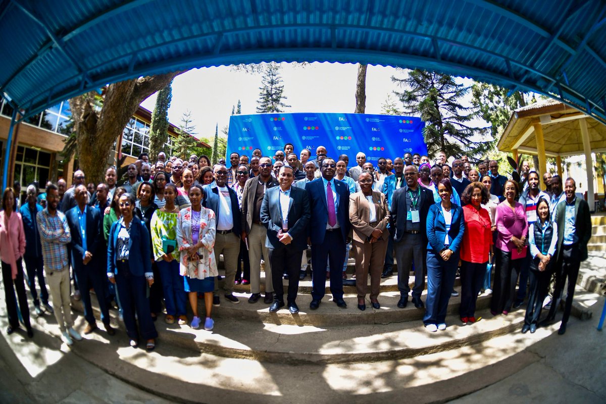 FAO Eastern Africa tweet media