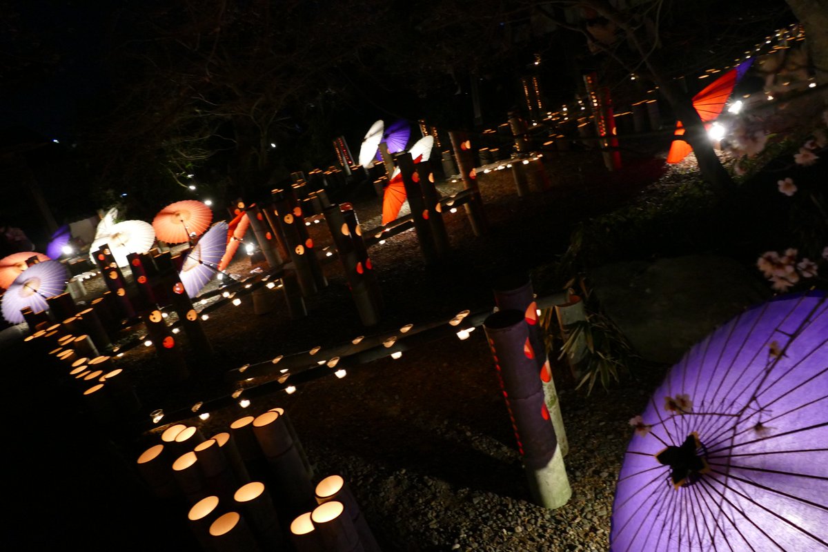 令和8年山鹿灯籠浪漫百華百彩・竹灯り⛱ 2026/2/13きんようび・LUMIX