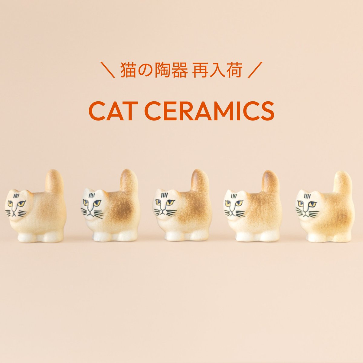 2.22 CAT DAY 🐾 ねこの日に集まるねこ。】 2月22日の猫の日にあわせて