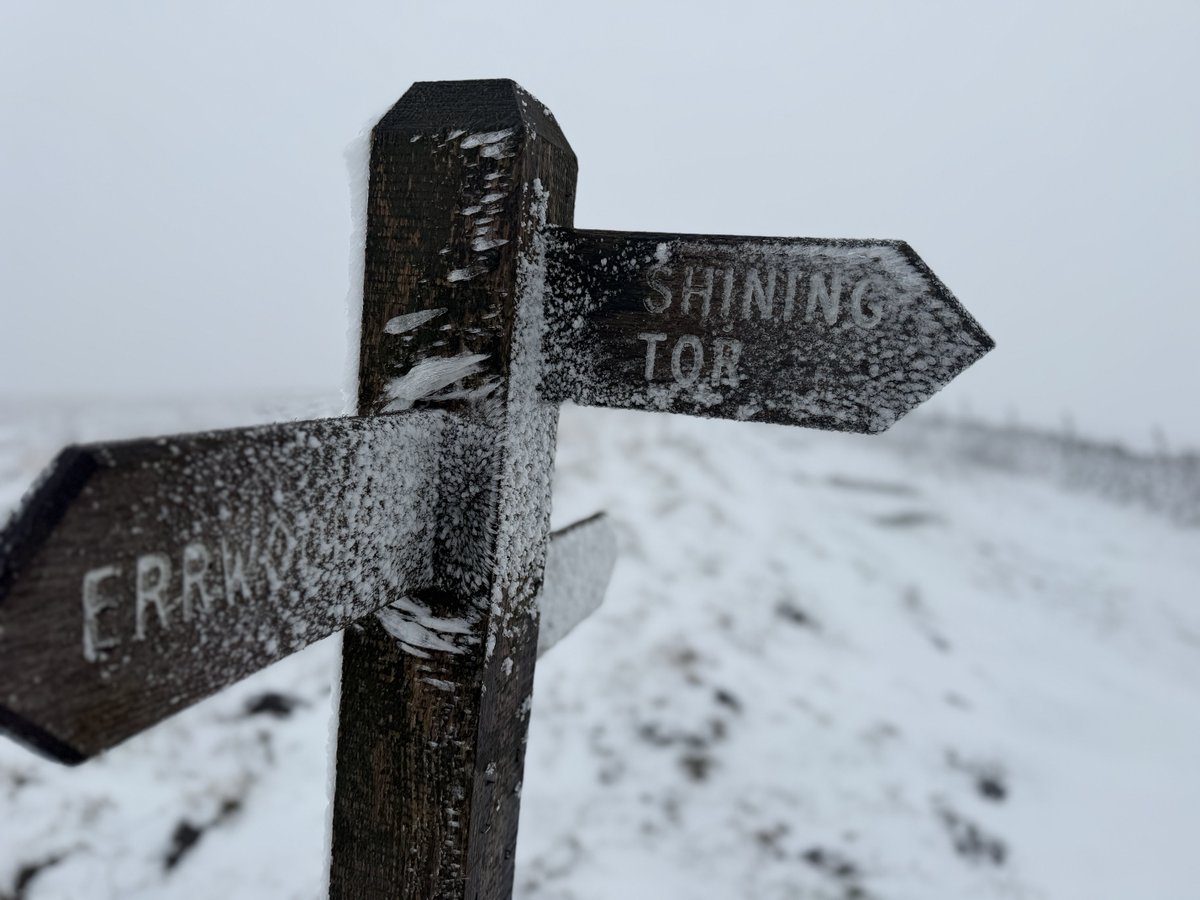 Peter Nicholson tweet media