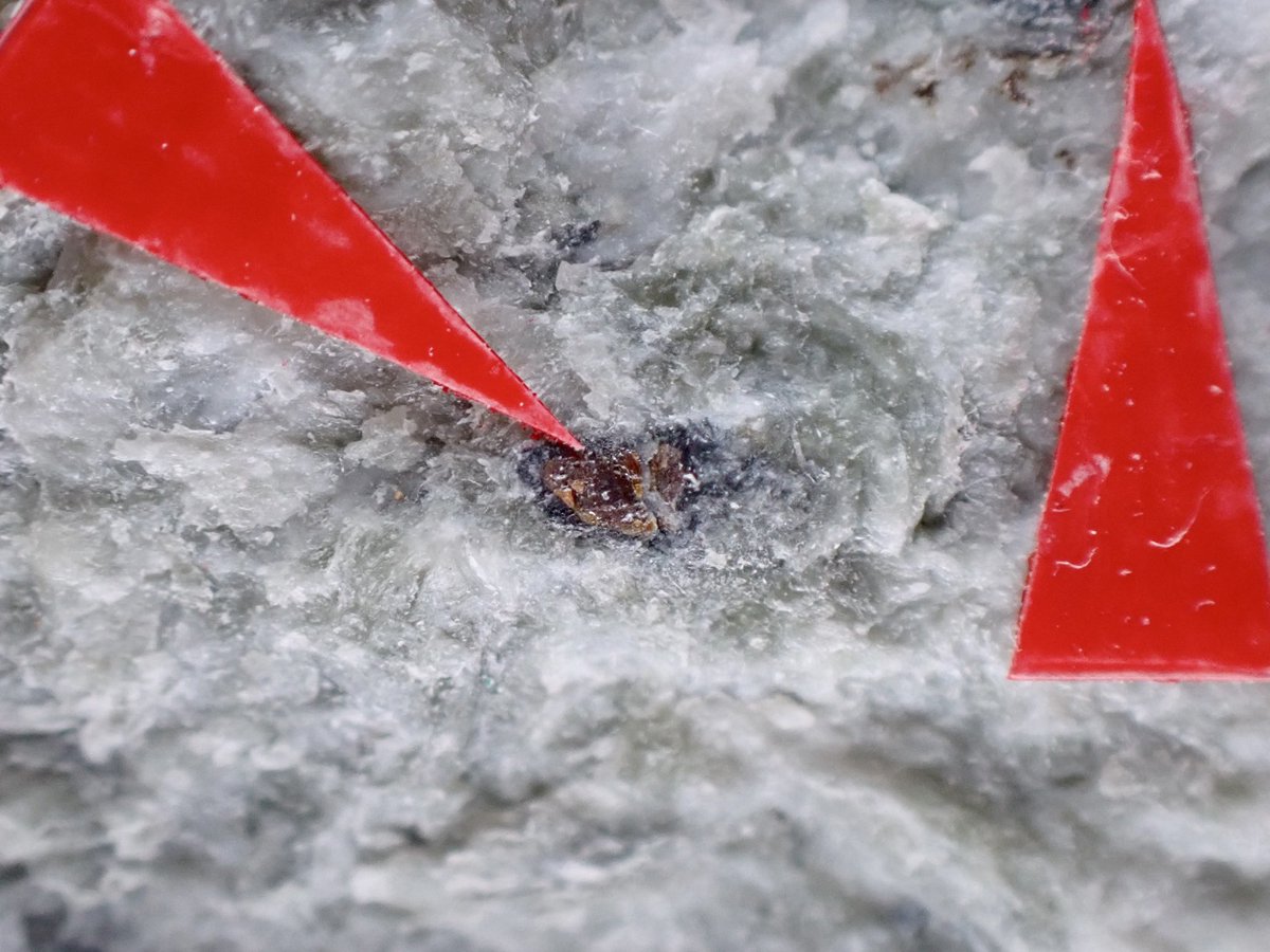 アマテラス石/天照石(Amaterasuite) 岡山県新見市大佐山 FOV:10mm