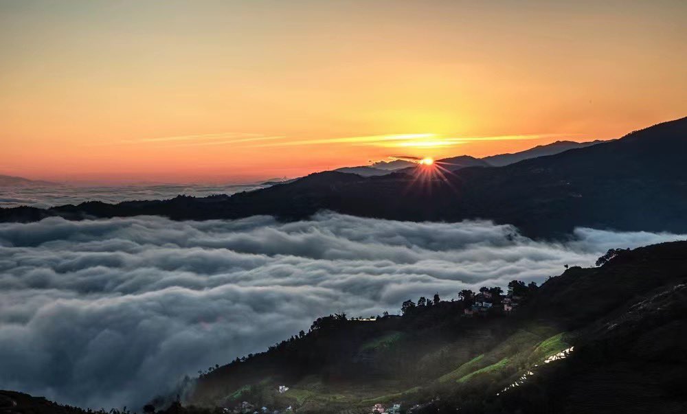 夏雪宜 tweet media