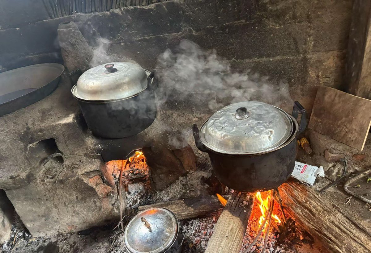 夏雪宜 tweet media