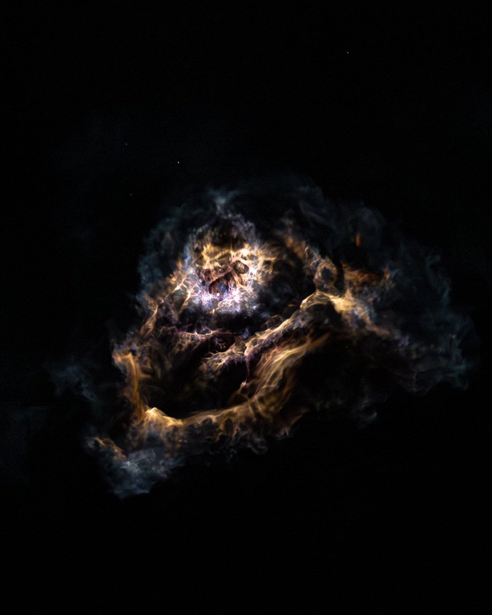 Michael Seeley tweet media