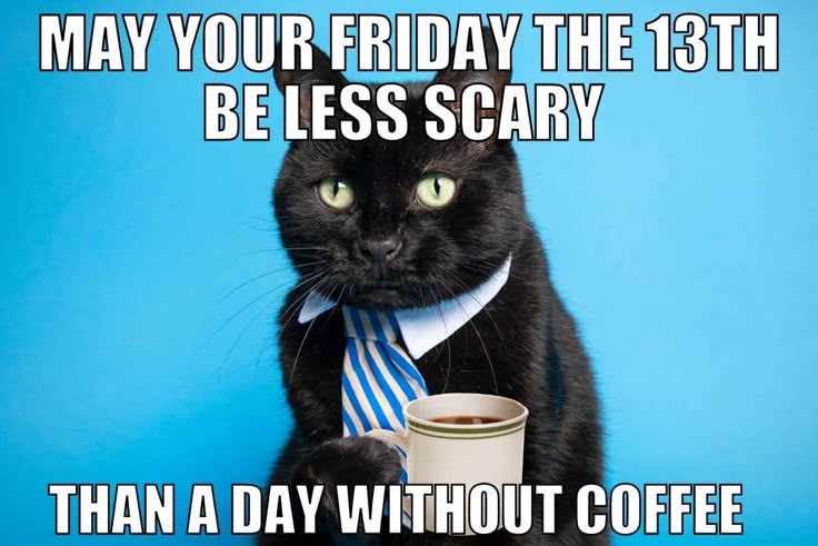 Happy Friday the 13th!
I feel like Iucky today!
#FridayThe13th