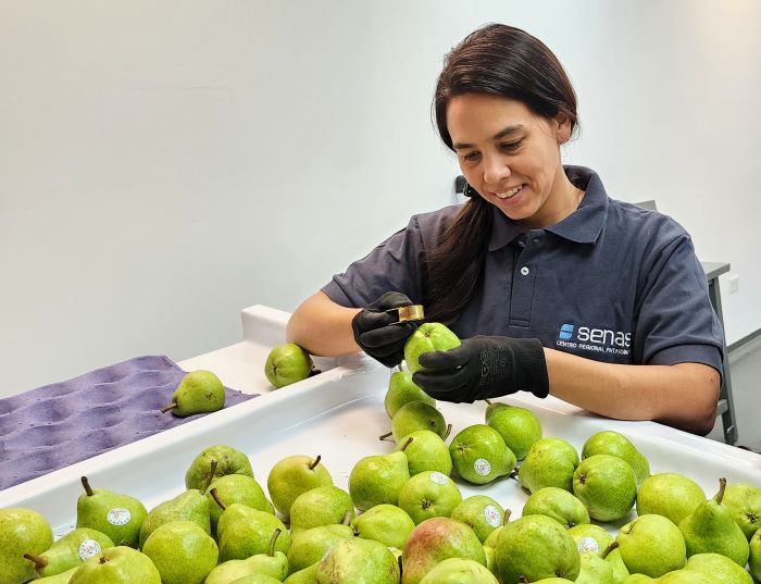 Habilitamos una nueva Unidad Entomológica del Laboratorio Regional de Plagas de Río Negro y Neuquén para certificar frutas frescas hacia los EE.UU. Un salto tecnológico para la certificación fitosanitaria en origen.