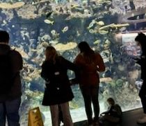 Newark Emmaus Trust tweet media