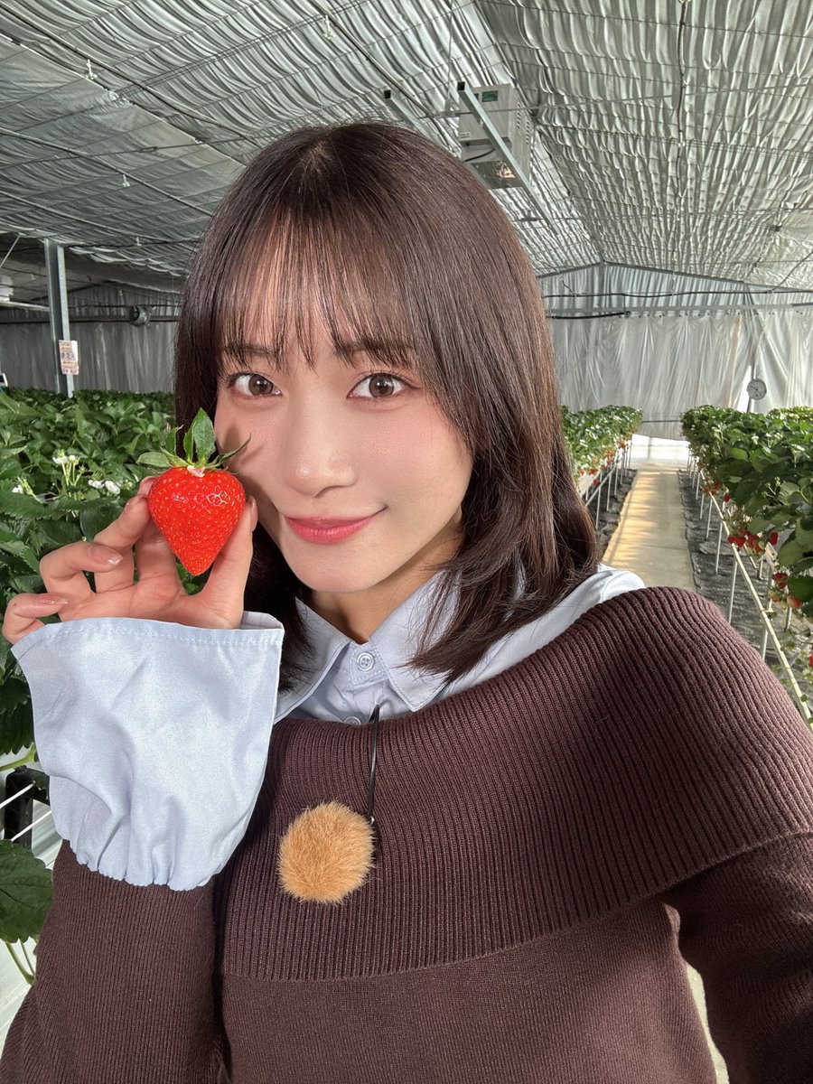 斉藤真木子 (@saitomakiko_628) / Posts / X